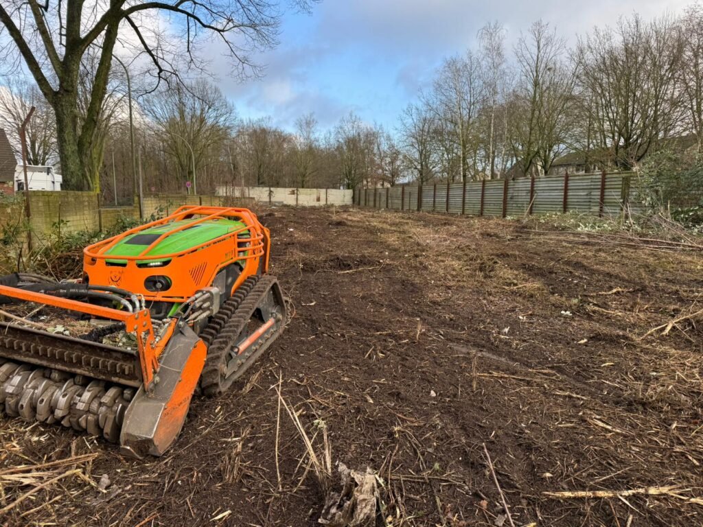 Rodungsarbeiten in Unna